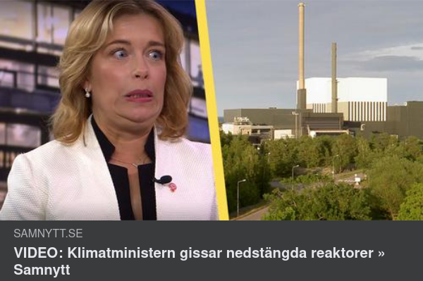 Reaktorsgissande Klimatminister
