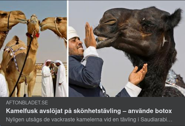 Botoxade Kameler