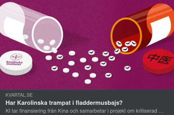 Olyckligt Fladdermusbajs För KI