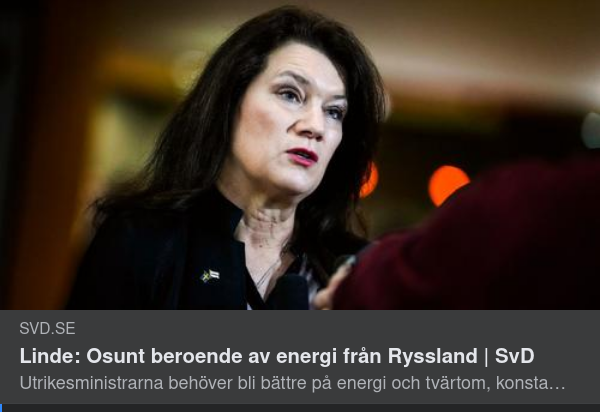 Utrikesministriskt Lärdomsbehov