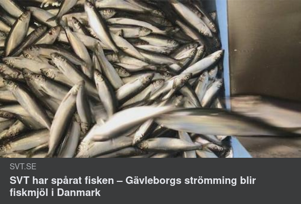 Vinstmaximeringstrålande