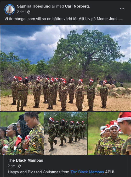 Afrikansk Julhälsning