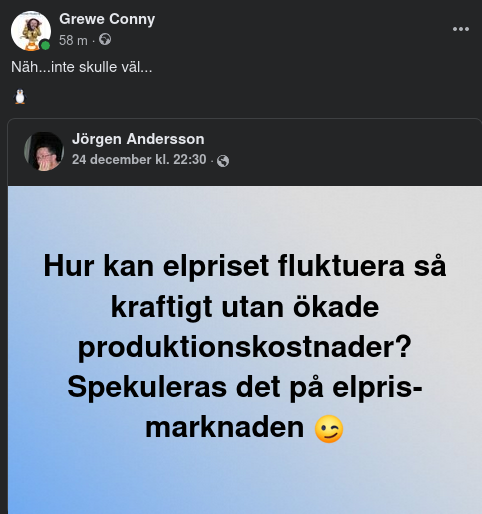 Produktionskostnader & Fluktuerande Elpris