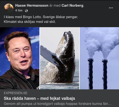 Koldioxidlagrande Fejkvalbajs