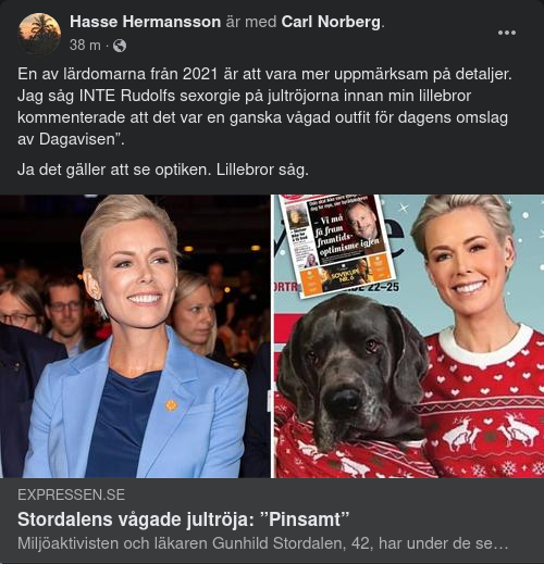 Storasyster Stordalen I Optiskt Detaljrik Vågad Jultröja
