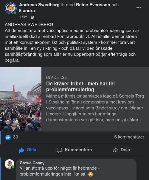 Demonstrerande Med Bristande Problemformulering