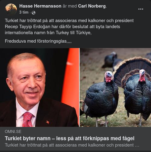 Från Turkey Till Türkiye