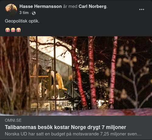 Norgekostnad För Talibanbesök
