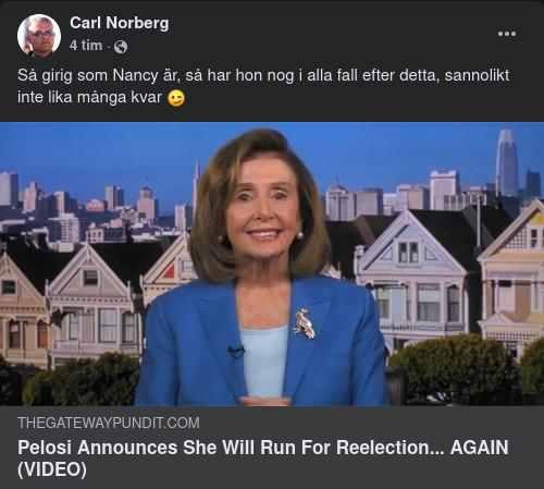 Pelosi Söker Återval