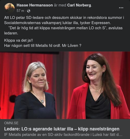 Ledarsidor Tycker LO Luktar Illa