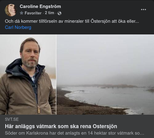 Mineralslevererande & Renande Östersjövåtmark