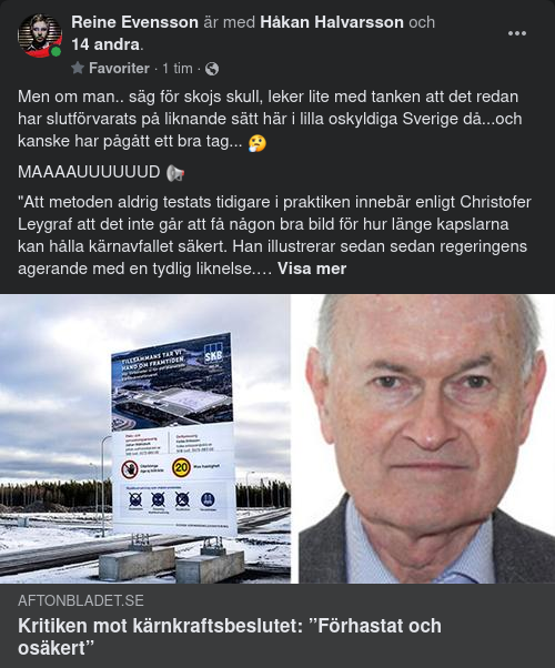 Slutförvaringskritik