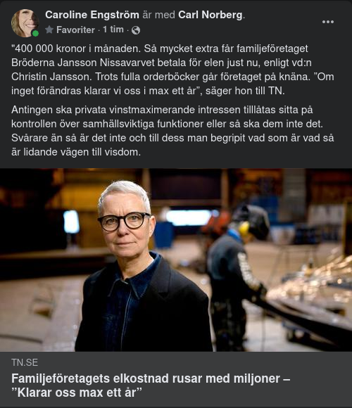Vinstmaximerande Företagsdränering