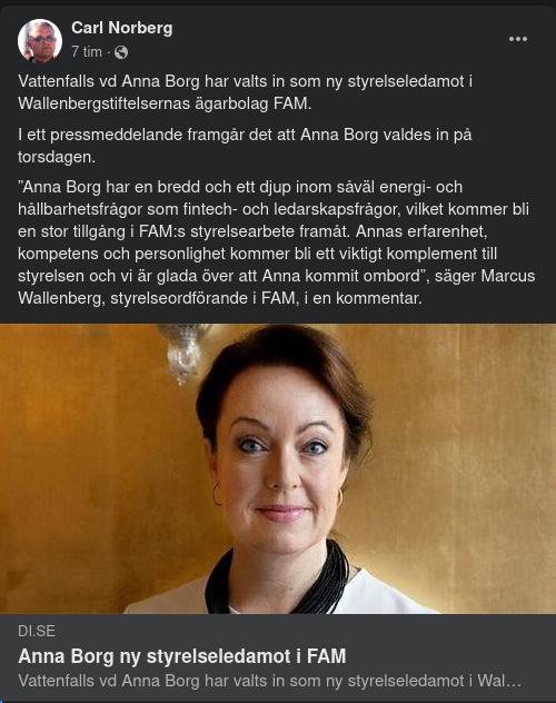 Anna Borg Ny Styrelseledamot I FAM