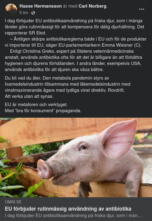 EU Förbjuder Antibiotikaanvändning På Friska Djur