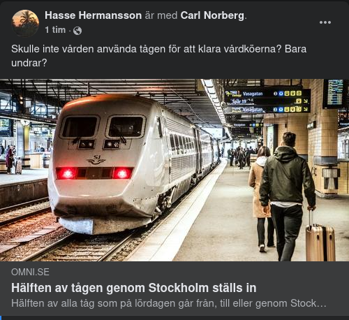 Halverad Tågtrafik På Grund Av Sjukdom