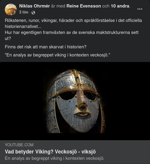 Vikingbetydelse
