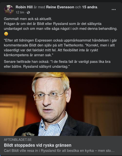 Ryskstoppad Bildt 2013