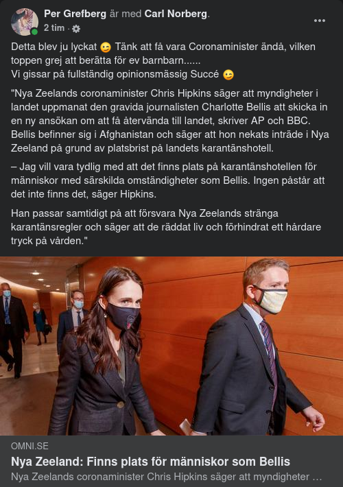 Nyzeeländsk Plats För Människor Som Bellis