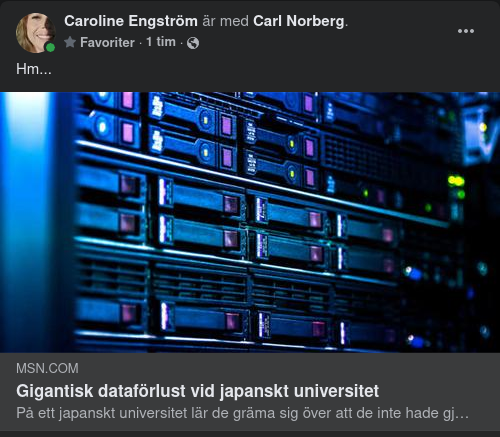Japansk Dataförlust