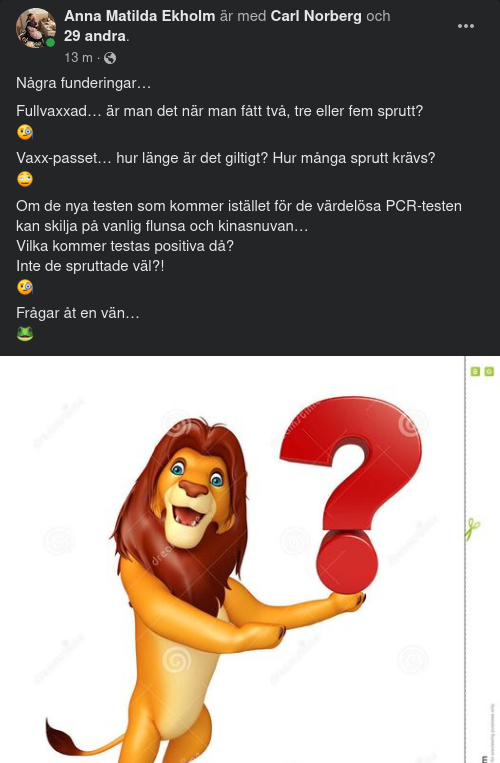 Spruttade Funderingar