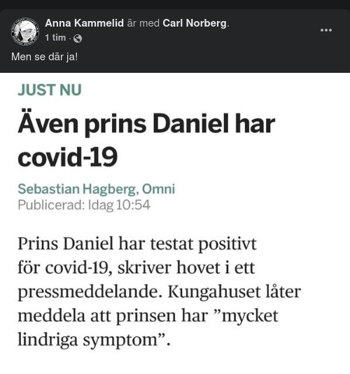 Prins & Prinsesscovidioti