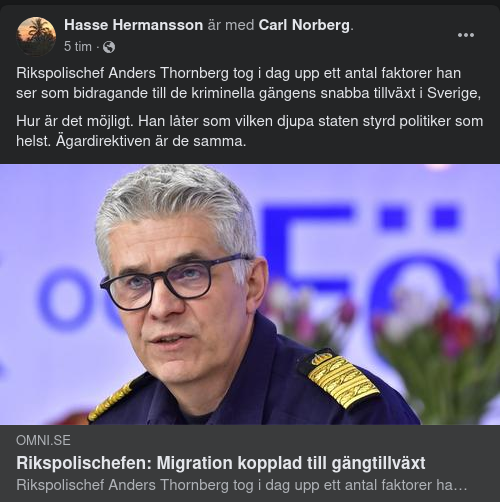 Polis Eller Politiker?