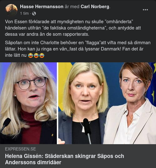 Dimskingrande Städerska