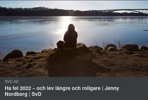 Revideringspositivt I SvD