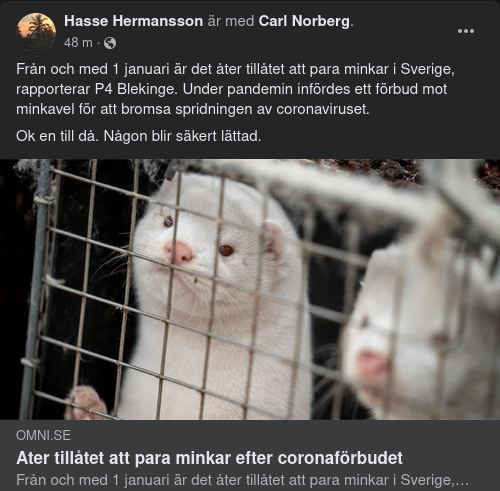 Minkparning Åter Tillåtet