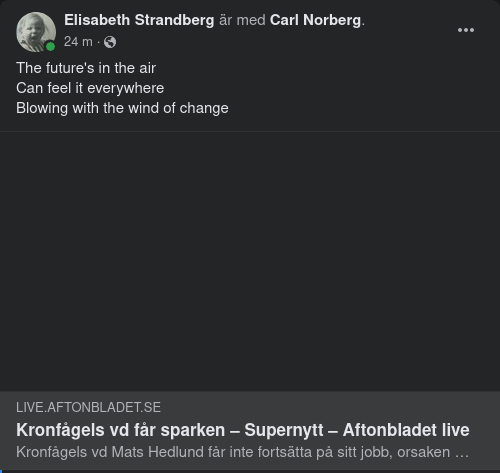 Kronfågels VD Sparkad