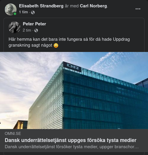 Medietystande Dansk Underrättelsetjänst?