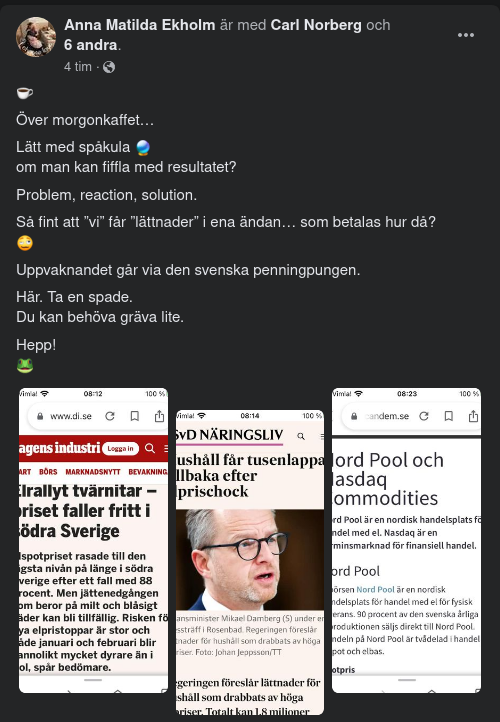 Elektrisk Penningpungspark