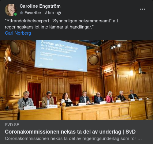 Synnerligen Bekymrad Yttrandefrihetsexpert