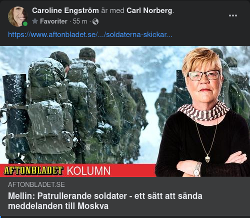 Mellin Förklarar Gotländsk Militärnärvaro