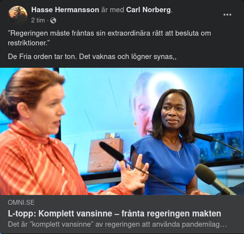 Politiskt Vansinne