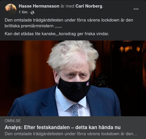 BoJos Trädgårdsfeststädning