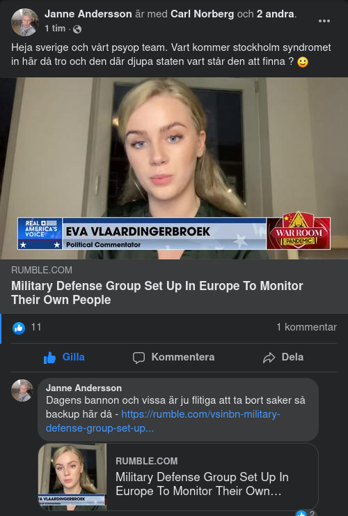 Svenska PsyOp Försvaret Hos Bannon