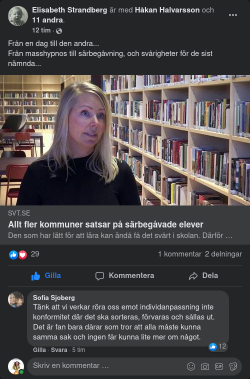 Särbegåvningssatsning