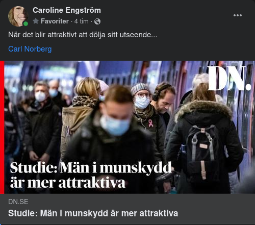 Attraktiva I Munskydd