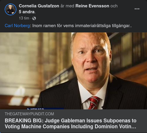 Röstningsmaskinsföretag & Immaterialrättsliga Tillgångar