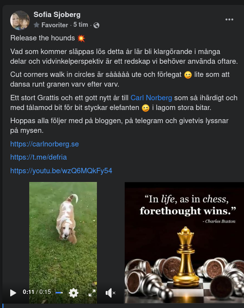 De Lössläppta Hundarnas År