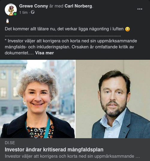 Nedkortande Investor