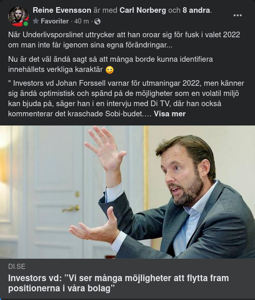 Möjlighetsseende Investor-VD