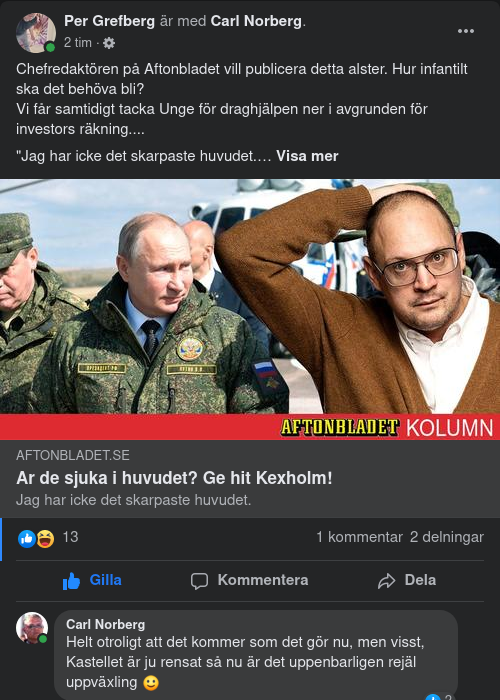 Unge Sjuk I Huvudet Över Kexholm