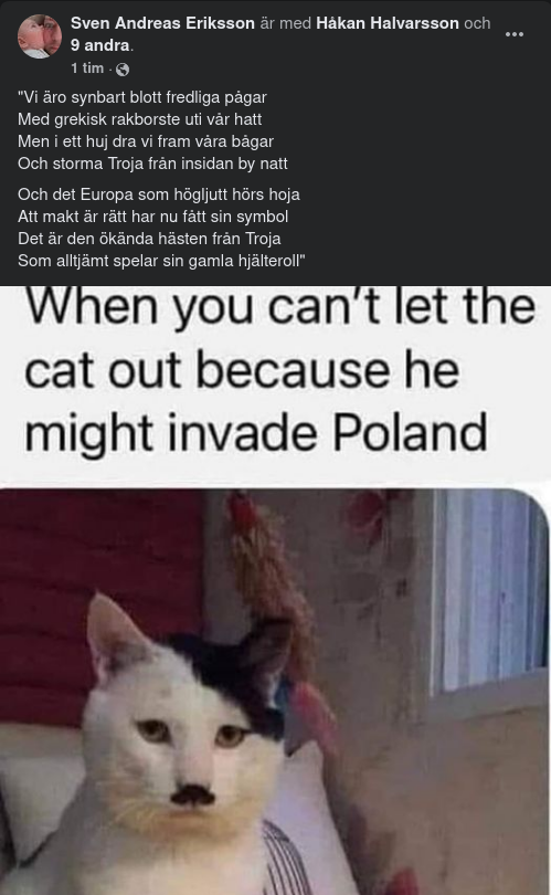 Ökänd Häst & En Katt