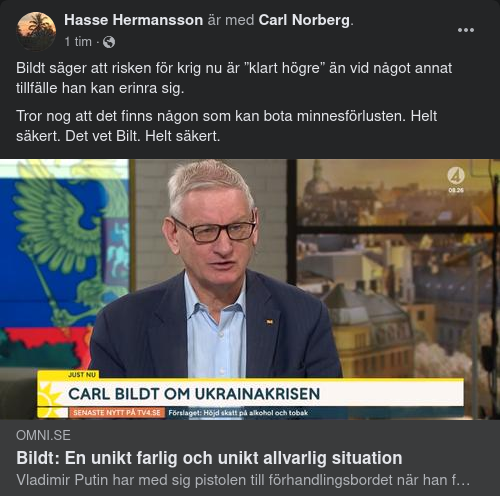 Krigsrisksseende Bildt