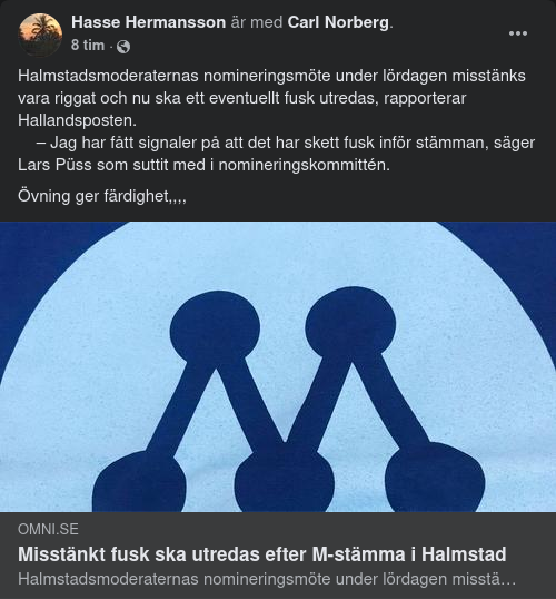 Valfuskutredning I Halmstad