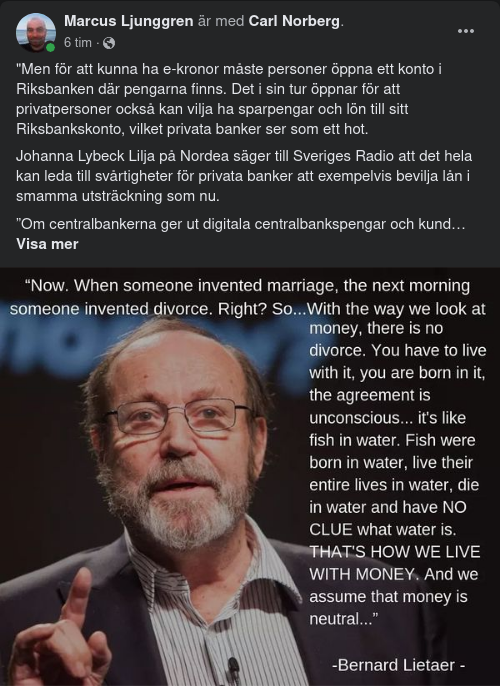 Riksbankkontotillgång