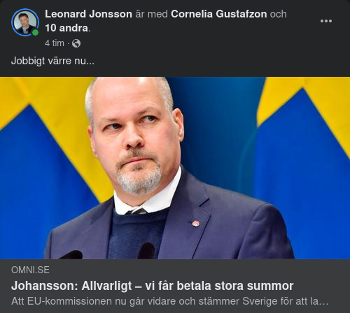 Allvarligt & Dyrt Säger Justitieministern